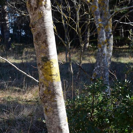 サン・セヴェリーノ・マルケLe Ginestreアパートメント エクステリア 写真